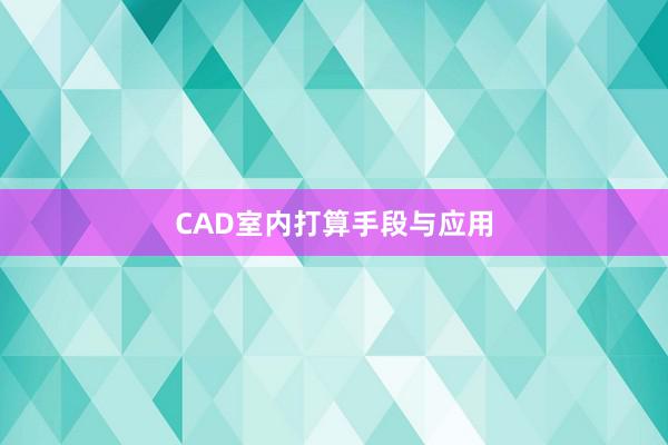 CAD室内打算手段与应用